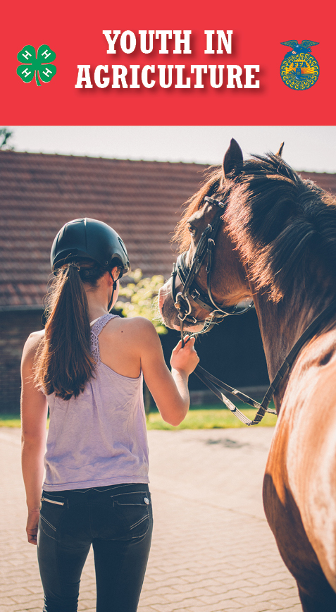 Youth in Agriculture