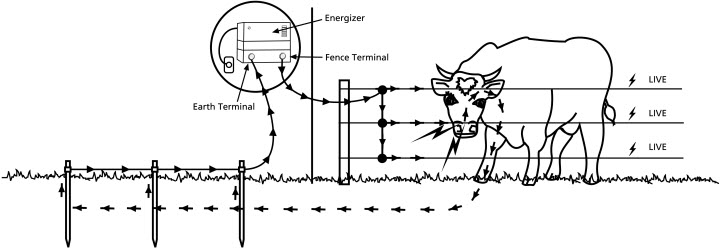 Building Your Electric Fence - Grange Co-op